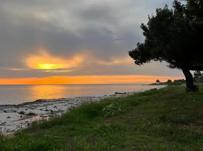 House Spina Pelegrin